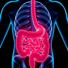 The Role of Colonoscopy in Diagnosing Intestinal Disorders