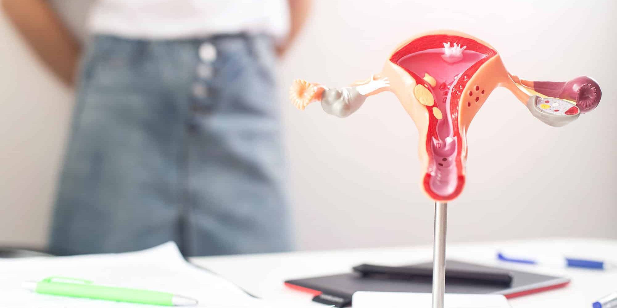How Lifestyle Choices Affect Reproductive Health and Infertility How Lifestyle Choices Affect Reproductive Health and Infertility