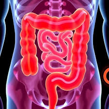 The Role of Colonoscopy in Colorectal Cancer Prevention