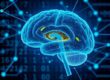 How Neurologists Approach Neurodegenerative Disorders