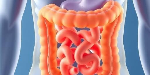 How To Prepare Your Body for a Colonoscopy How To Prepare Your Body for a Colonoscopy