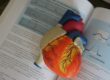 The Different Types of Cardiologists and Their Specialties