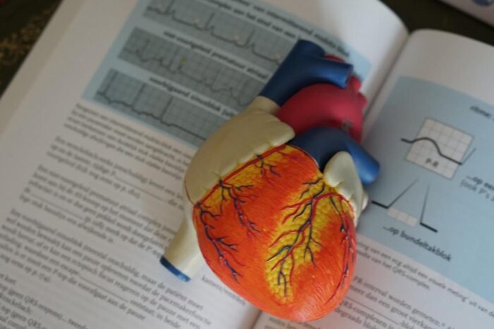 The Different Types of Cardiologists and Their Specialties
